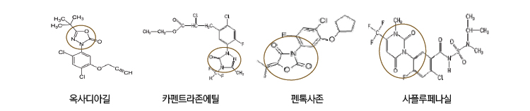 옥사디아닐, 카펜트라존에틸, 펜톡사존, 사플루페나실의 분자구조