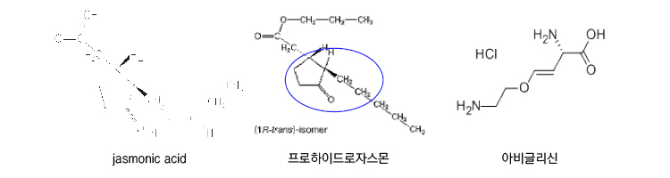 jasmonic acid, 프로하이드로자스몬, 아비클리신의 분자구조