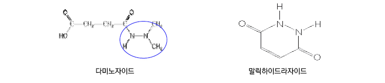 다미노자이드, 말릭하이드라자이드의 분자구조