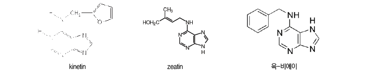 kinetinm, zeatin, 육-비에이의 분자구조