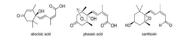 abscisic acid, phaseic acid, xanthoxin의 분자구조