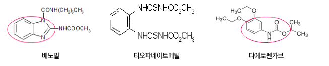 베노밀, 티오파네이트메틸, 디에토펜카브의 분자구조