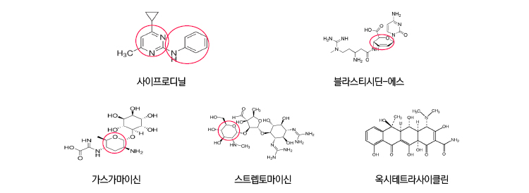 사이프로디닐, 블라스티시딘-에스, 가스가마이신, 스트렙토마이신, 옥시테트라사이클린의 분자구조