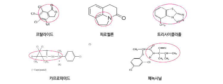 프탈라이트, 피로퀄론, 트리사이클라졸, 카프로파미드, 페녹사닐의 분자구조