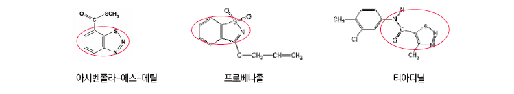 아시벤졸라-에스-메틸, 프로베나졸, 티아디닐의 분자구조